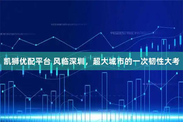 凯狮优配平台 风临深圳，超大城市的一次韧性大考