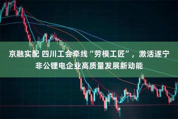 京融实配 四川工会牵线“劳模工匠”，激活遂宁非公锂电企业高质量发展新动能